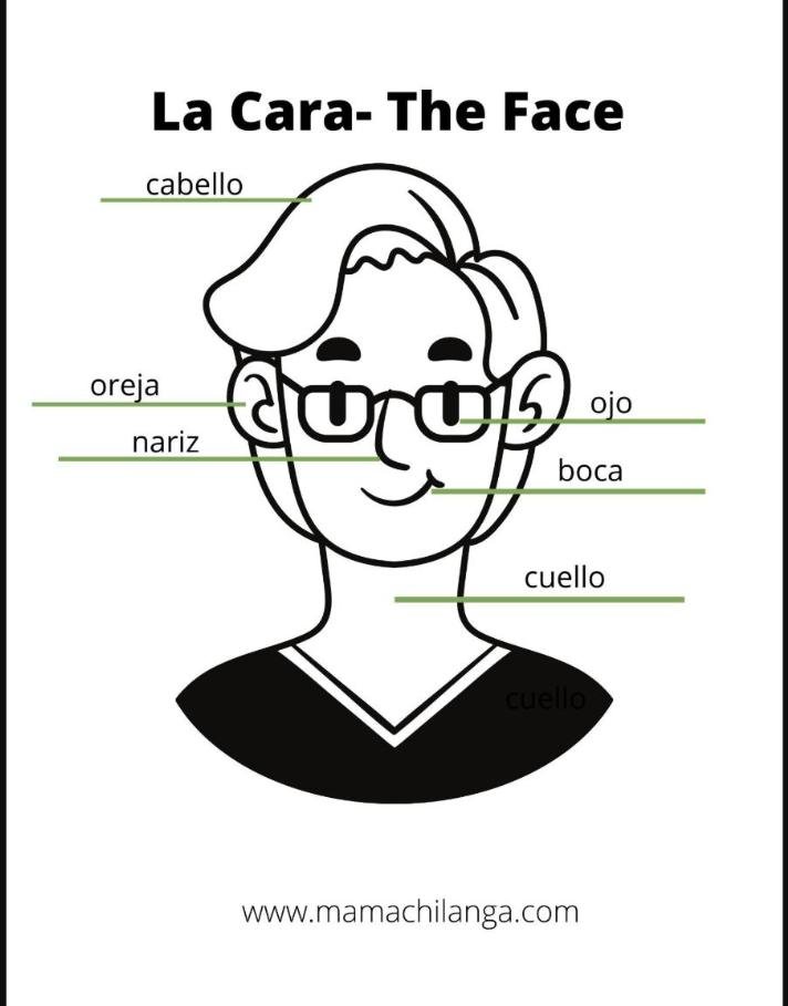 El Cuerpo Spanish parts of the body vocabulary illustration for kids