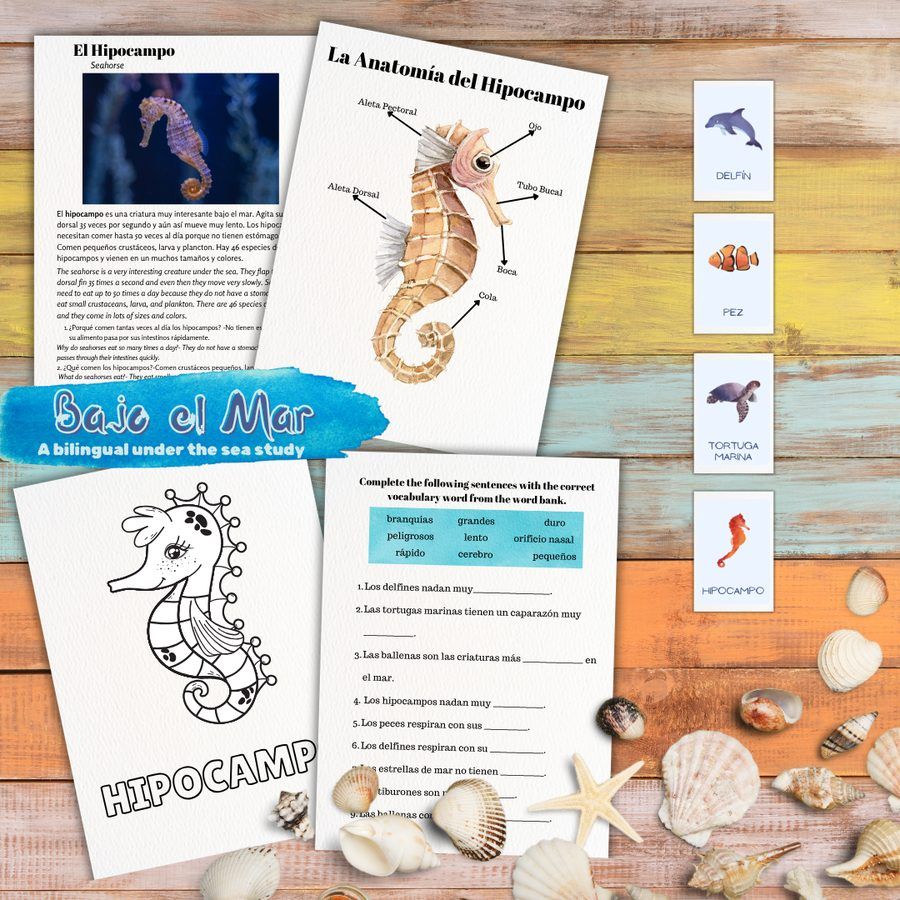Bajo el Mar, one of the bilingual unit studies