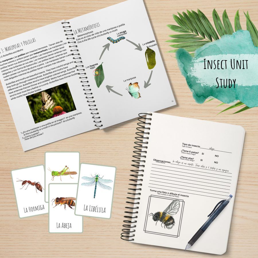 Descubre Insectos unit study product photo