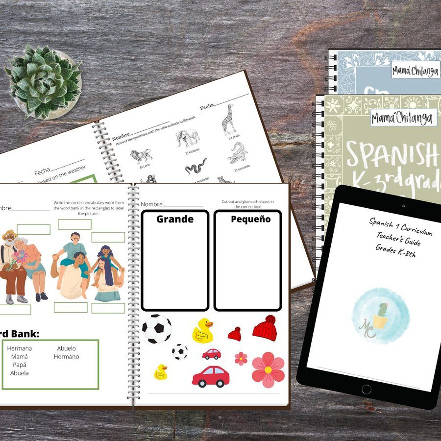 The Spanish 1 curriculum: lesson plan books, workbooks and Teacher's Guide