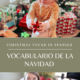 La Navidad- Christmas (decoration vocabulary and craft)